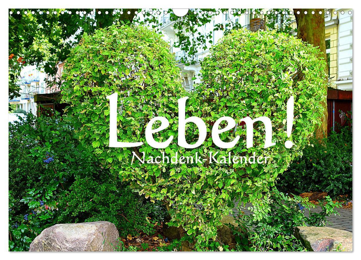 Cover: 9783435102846 | Leben! - Nachdenk-Kalender (Wandkalender 2025 DIN A3 quer),...