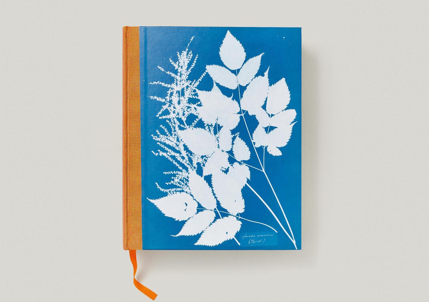 Bild: 9783836596039 | Anna Atkins. Cyanotypes | Peter Walther | Buch | Schuber | 660 S.