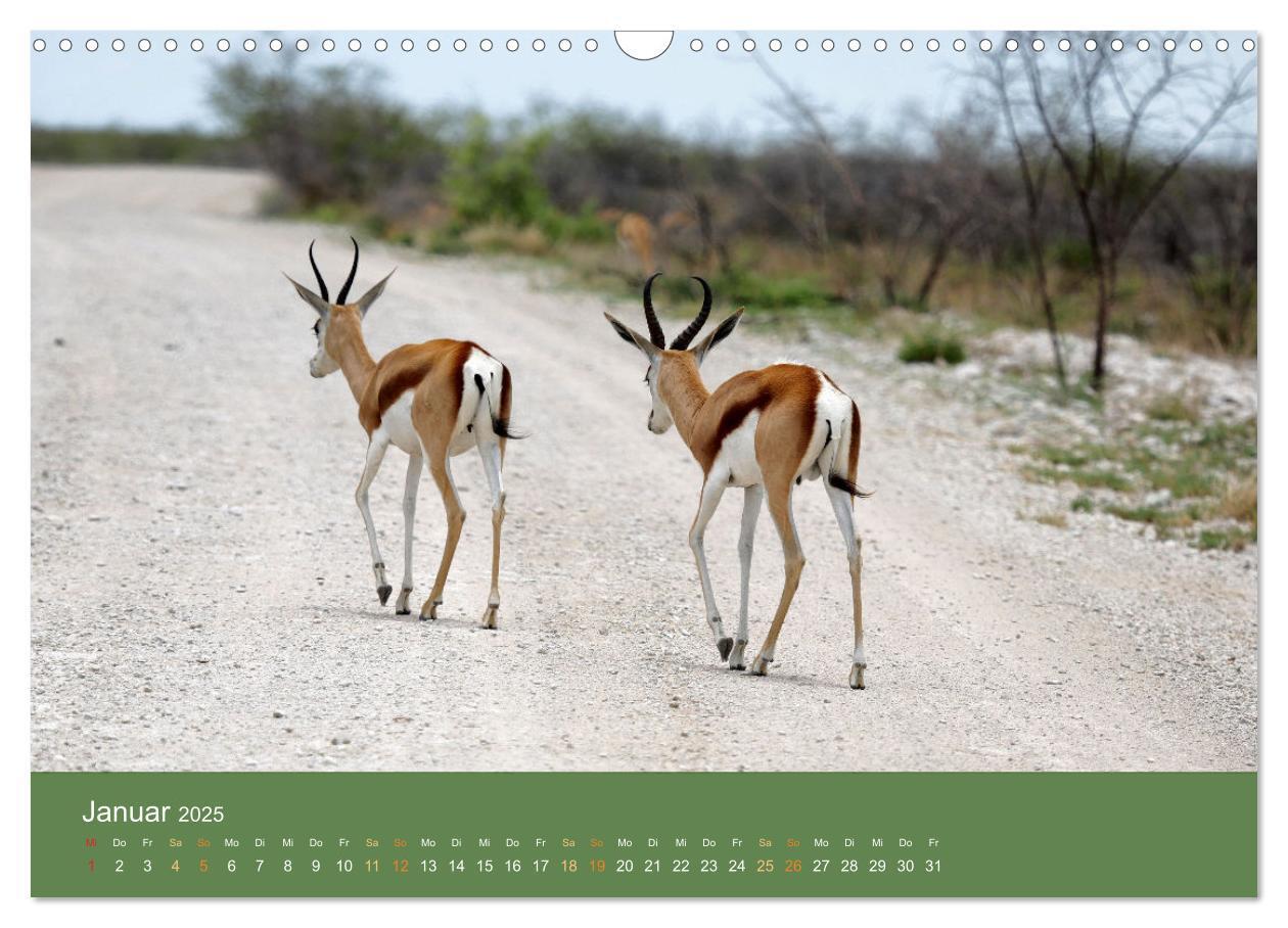 Bild: 9783383931123 | Roadtrip in Namibia (Wandkalender 2025 DIN A3 quer), CALVENDO...