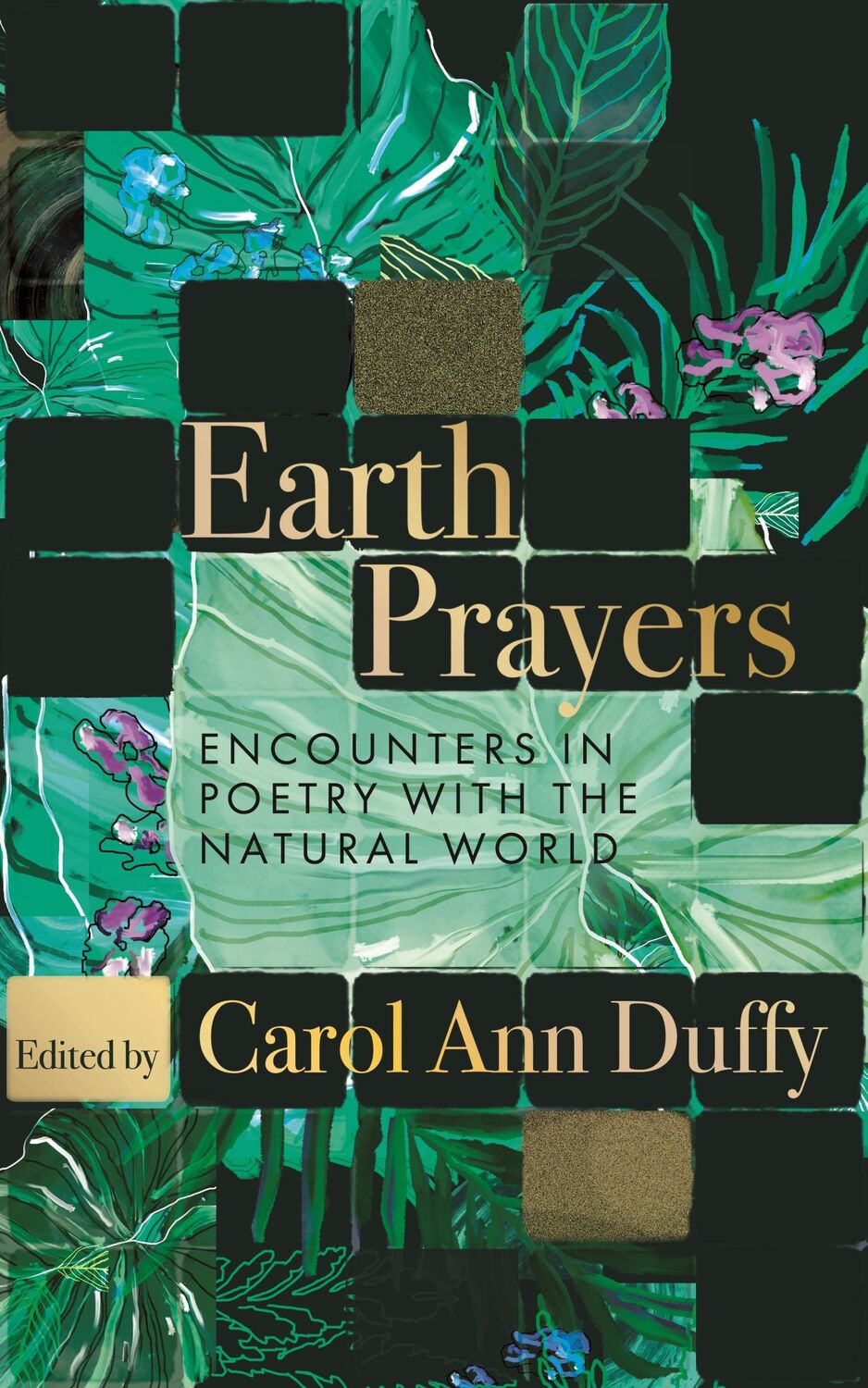 Cover: 9781035048144 | Earth Prayers | Encounters in Poetry with the Natural World | Duffy