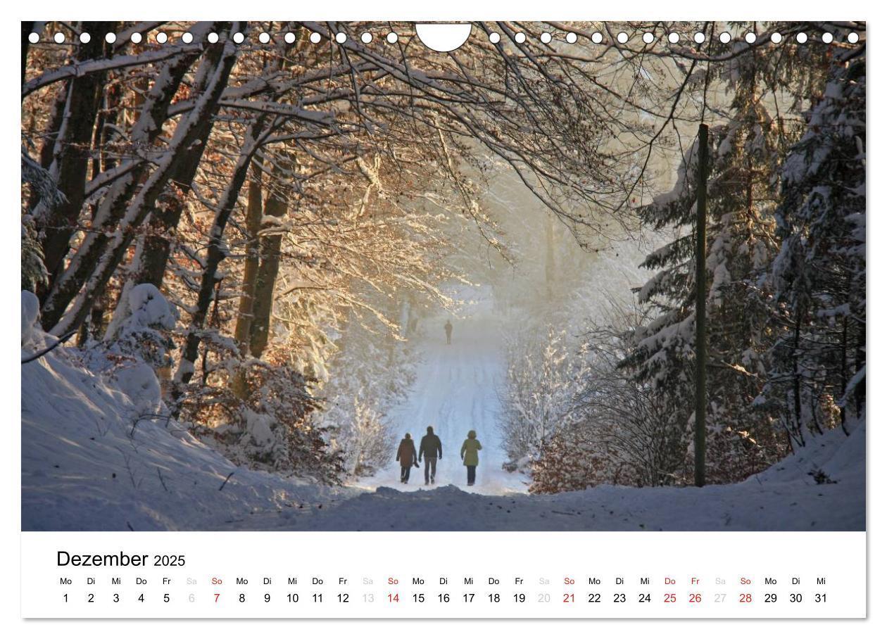 Bild: 9783435602643 | Der Ebersberger Forst und seine Umgebung (Wandkalender 2025 DIN A4...