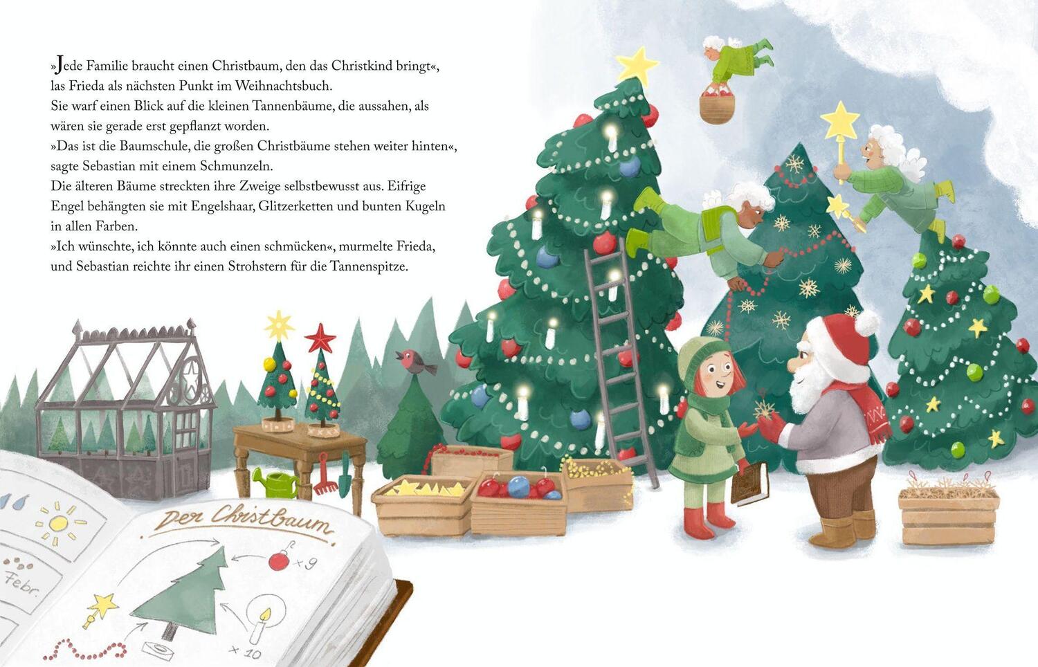 Bild: 9783903300774 | Friedas Weihnachten | Claudia Skopal | Buch | 32 S. | Deutsch | 2023