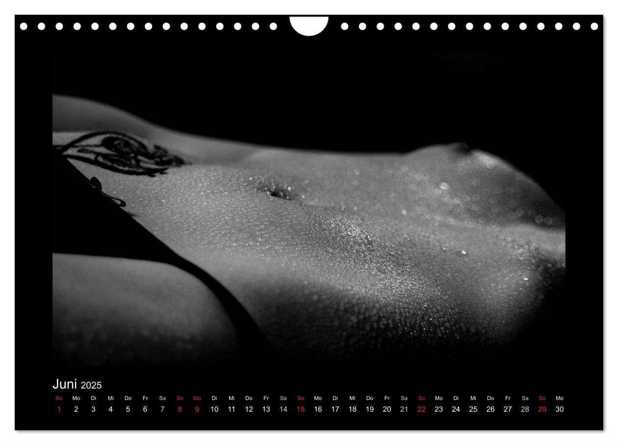 Bild: 9783435489626 | Erotische Körper (Wandkalender 2025 DIN A4 quer), CALVENDO...