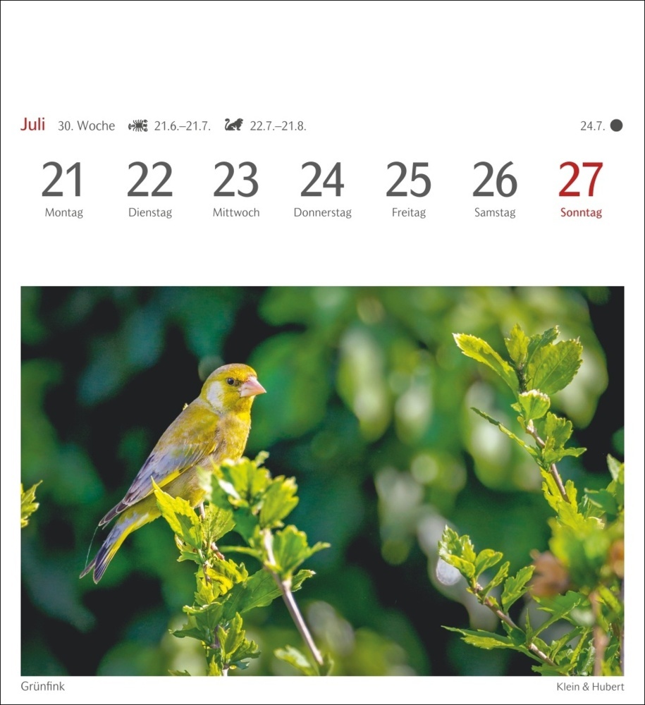 Bild: 9783840034213 | Heimische Vögel Postkartenkalender 2025 - Wochenkalender mit 53...