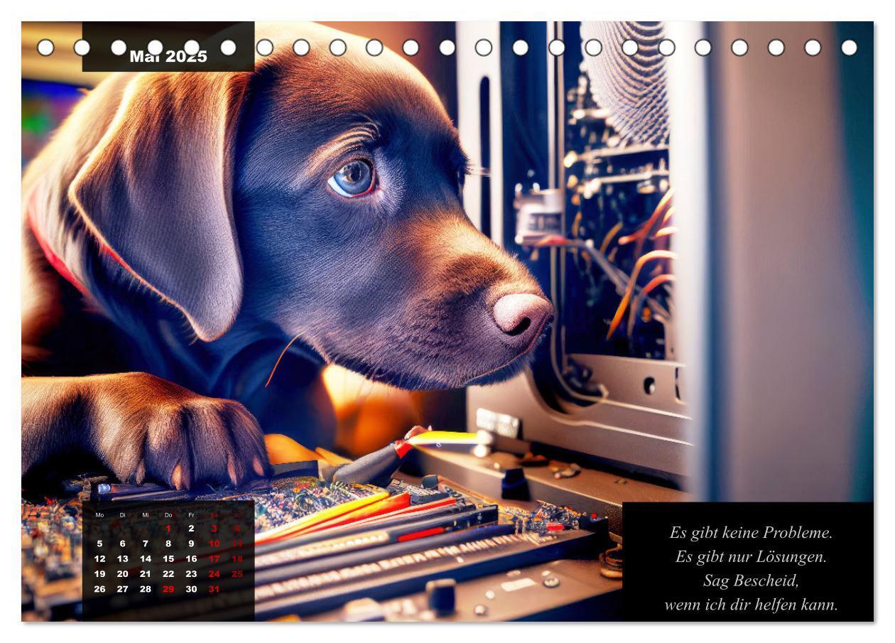 Bild: 9783435369027 | Der witzige Labrador-Kalender (Tischkalender 2025 DIN A5 quer),...