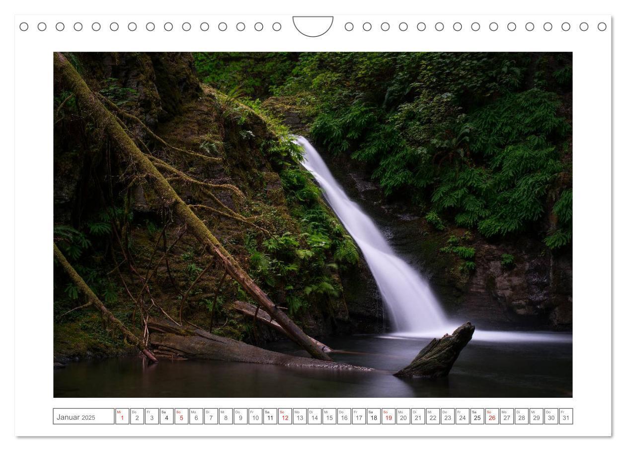 Bild: 9783435508068 | Vancouver Island (Wandkalender 2025 DIN A4 quer), CALVENDO...