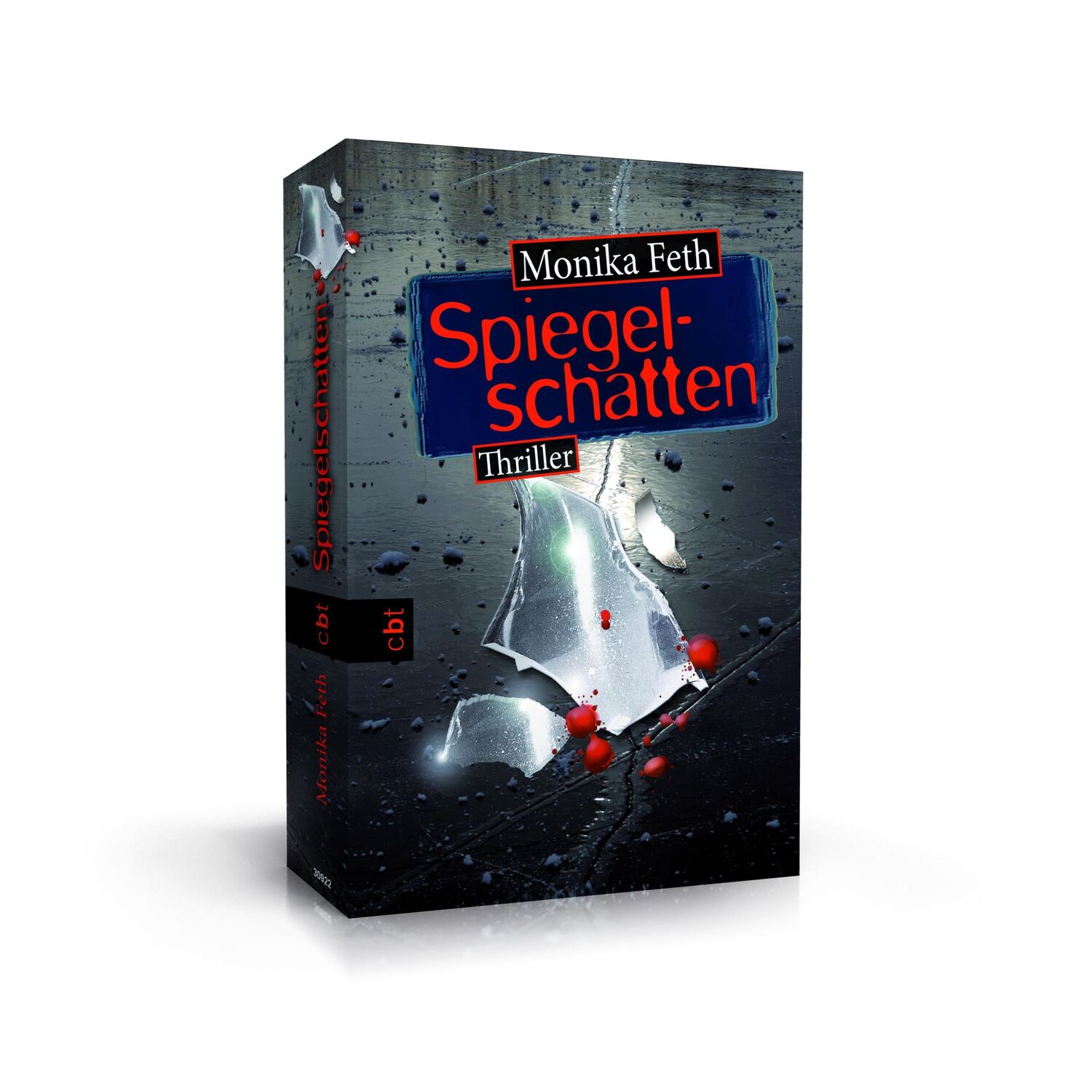 Bild: 9783570309223 | Spiegelschatten | Monika Feth | Taschenbuch | 480 S. | Deutsch | 2014