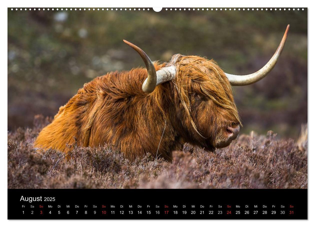 Bild: 9783435568420 | Schottland - Die wundervolle Isle of Skye (Wandkalender 2025 DIN A2...