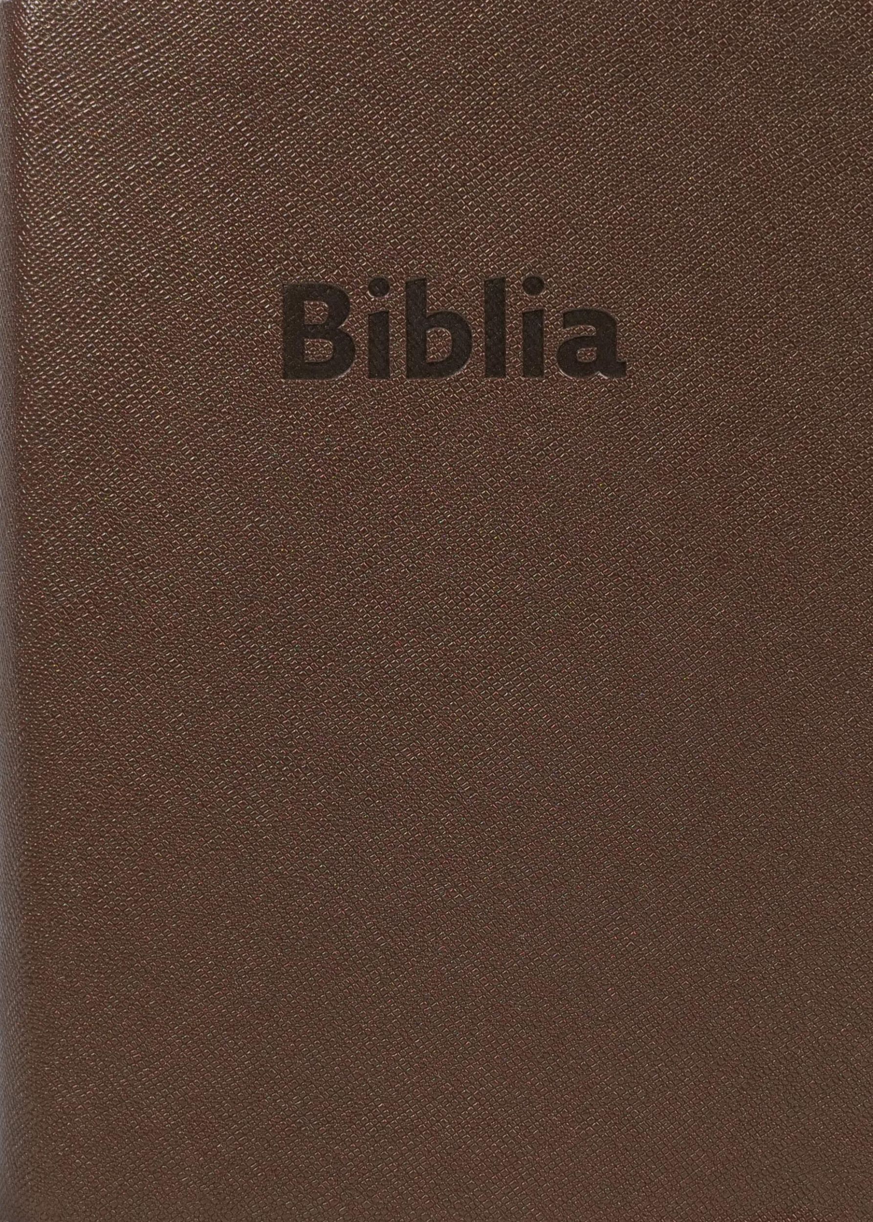 Cover: 9783438086365 | Bibel Slowakisch | Ökumenische Übersetzung moderne Übers. | Buch