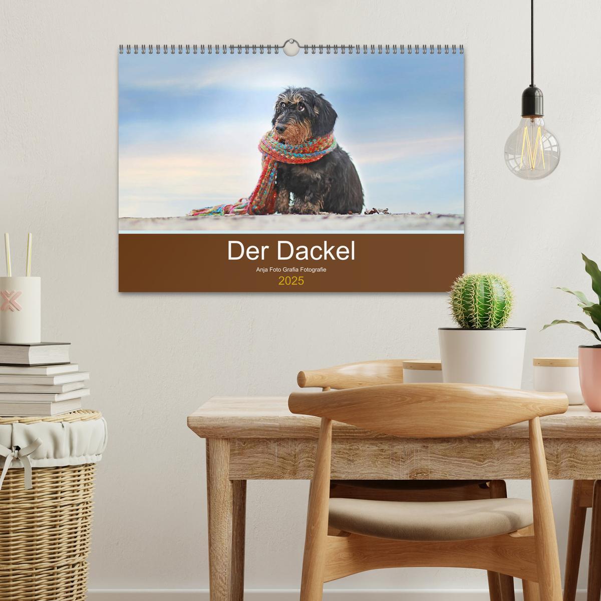 Bild: 9783435308767 | Der Dackel (Wandkalender 2025 DIN A3 quer), CALVENDO Monatskalender