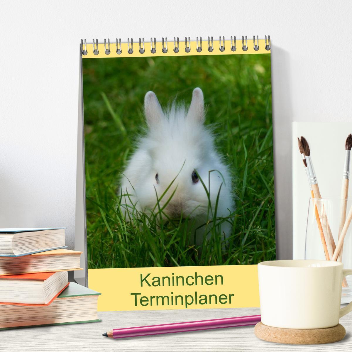 Bild: 9783457001233 | Kaninchen Terminplaner (Tischkalender 2025 DIN A5 hoch), CALVENDO...