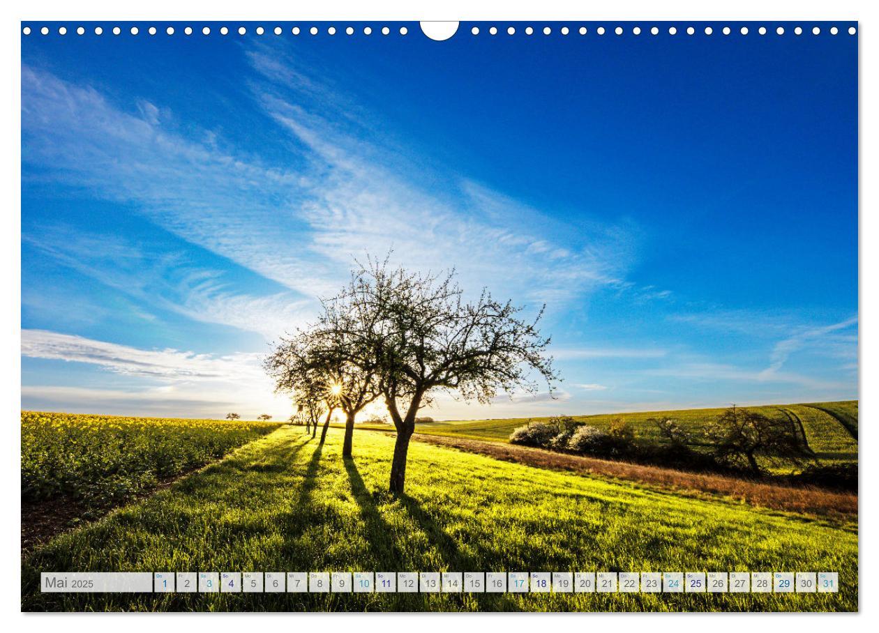 Bild: 9783457197554 | Bunter Pfälzerwald (Wandkalender 2025 DIN A3 quer), CALVENDO...