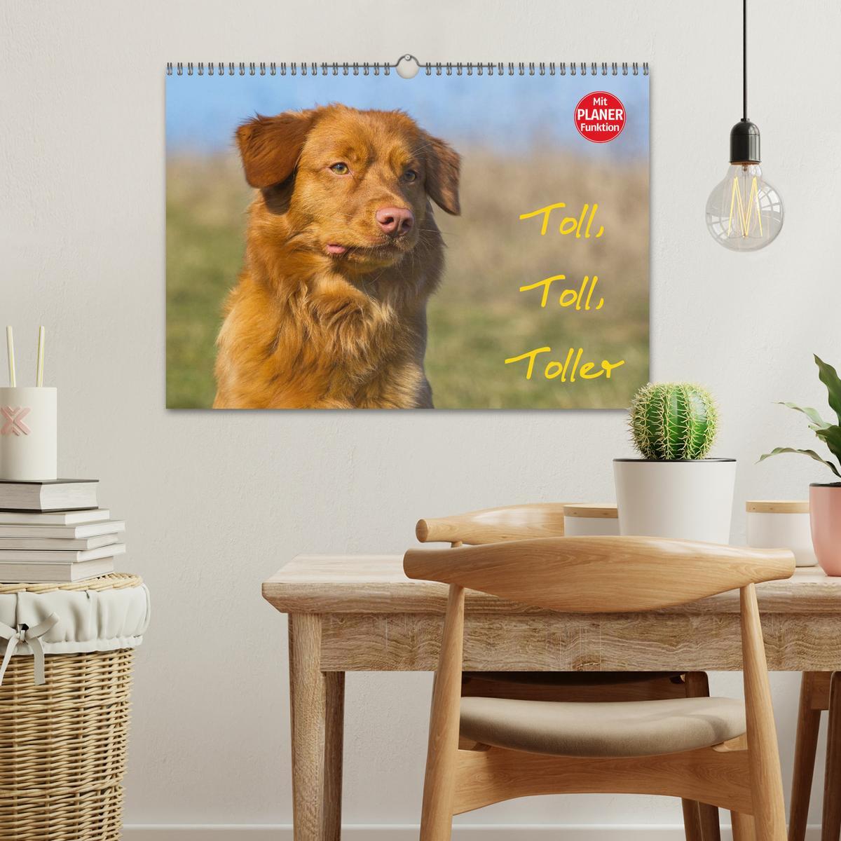 Bild: 9783435545148 | Toll, toll, Toller (Wandkalender 2025 DIN A3 quer), CALVENDO...