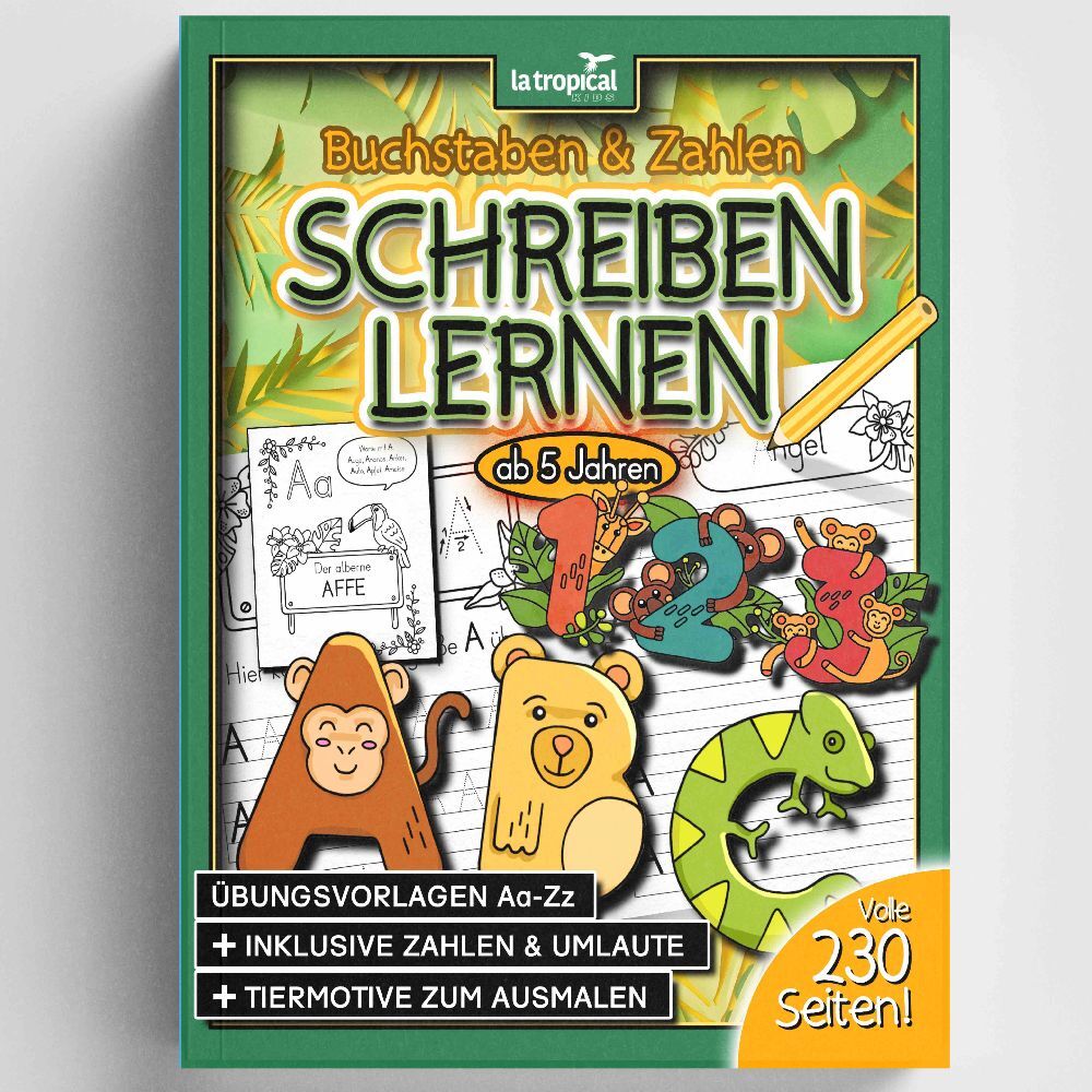 Cover: 9783969080191 | Buchstaben und Zahlen schreiben ab 5 Jahren | David Ludwig | Buch