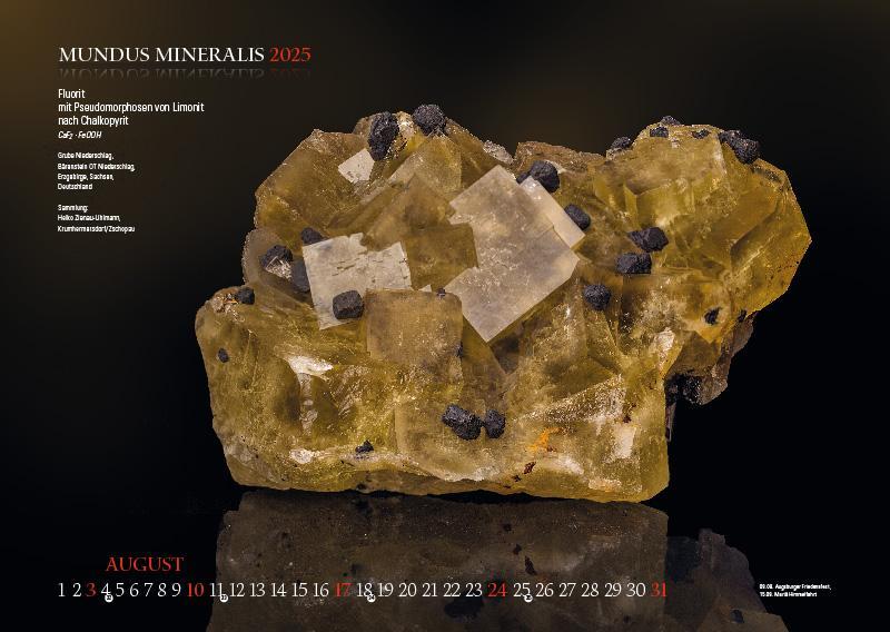 Bild: 9783957561398 | MUNDUS MINERALIS 2025 | Die Welt der Mineralien | Jörg Neubert | 2025