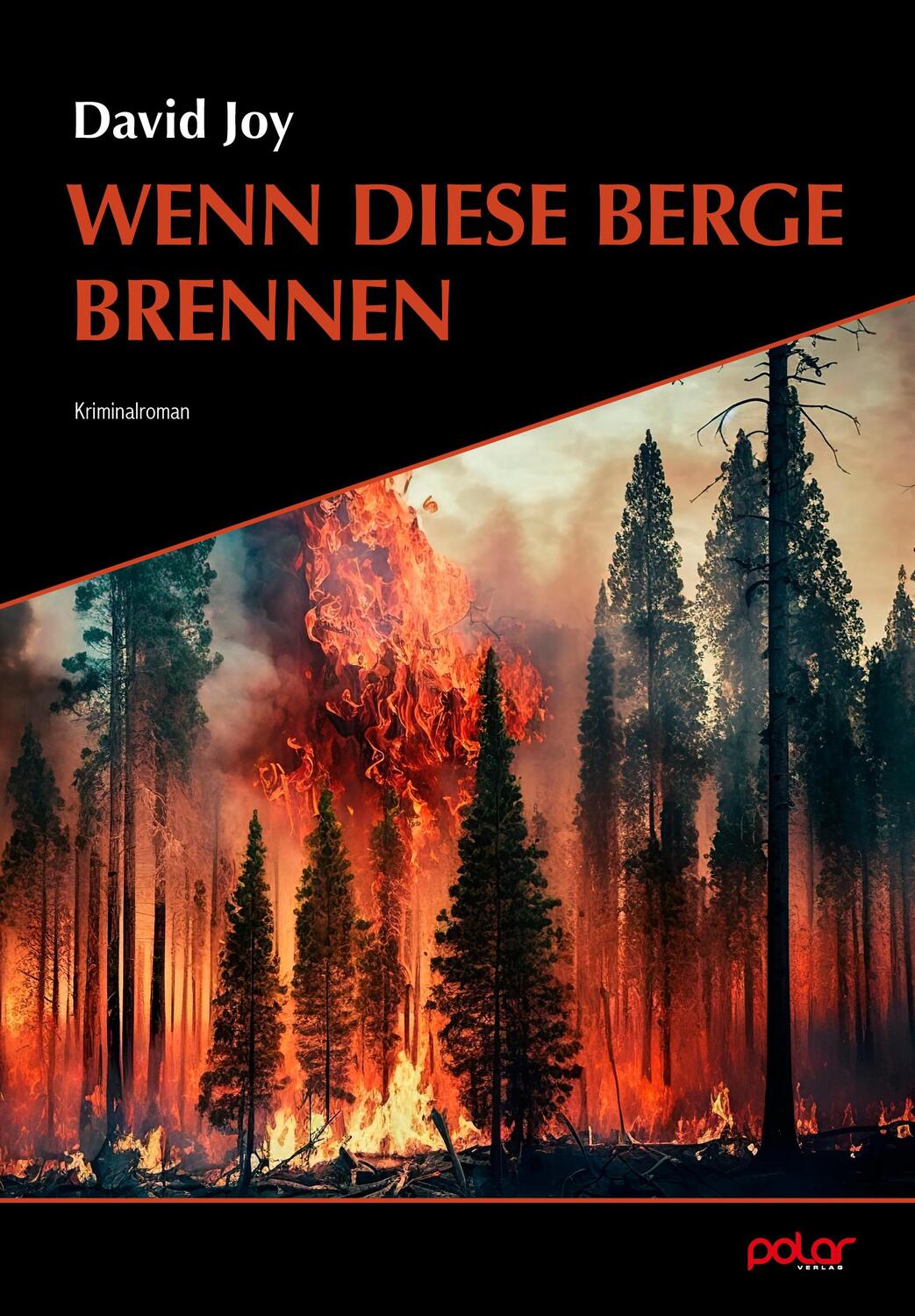 Cover: 9783910918009 | Wenn diese Berge brennen | David Joy | Taschenbuch | 280 S. | Deutsch