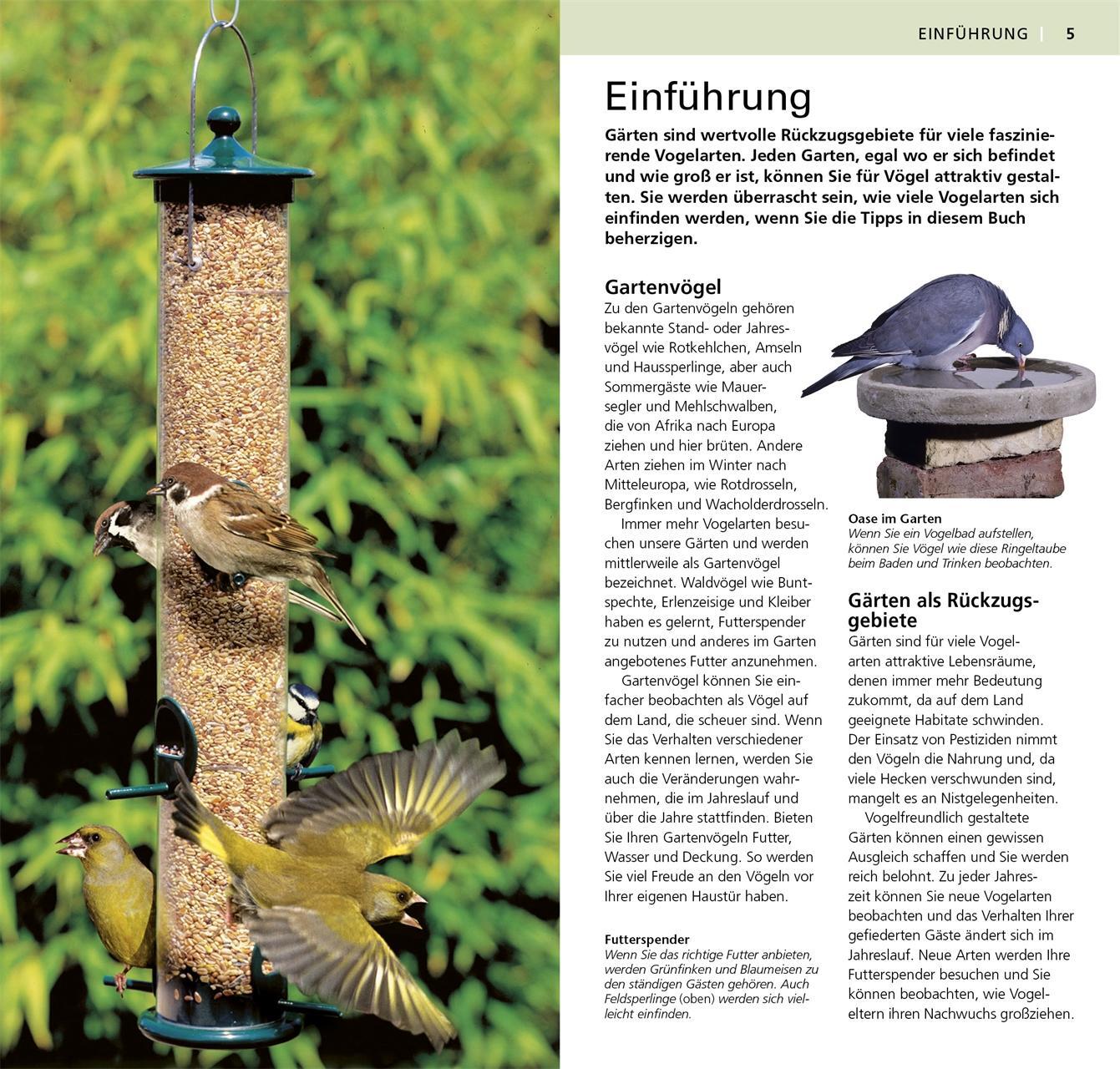 Bild: 9783831027545 | Gartenvögel beobachten und bestimmen | Mark Ward | Taschenbuch | 2015