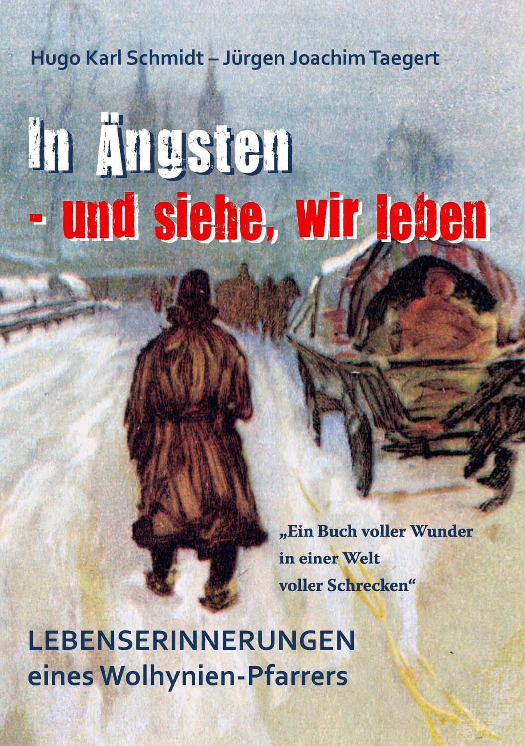 Cover: 9783739238968 | In Ängsten - und siehe, wir leben | Hugo Karl Schmidt (u. a.) | Buch