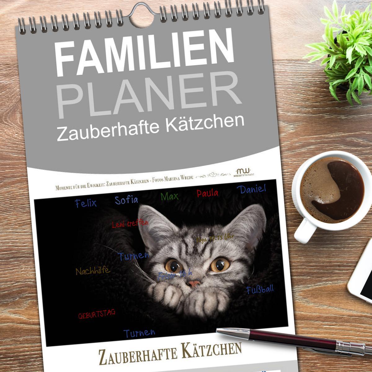 Bild: 9783457123348 | Familienplaner 2025 - Zauberhafte Kätzchen mit 5 Spalten...