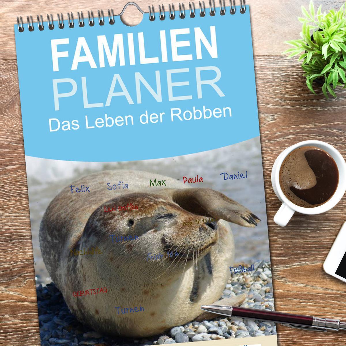 Bild: 9783457125106 | Familienplaner 2025 - Das Leben der Robben mit 5 Spalten...