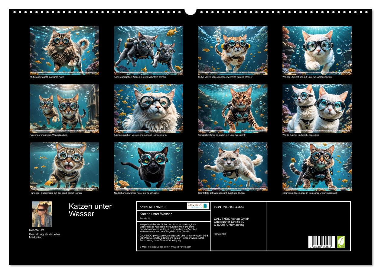 Bild: 9783383843433 | Katzen unter Wasser (Wandkalender 2025 DIN A2 quer), CALVENDO...