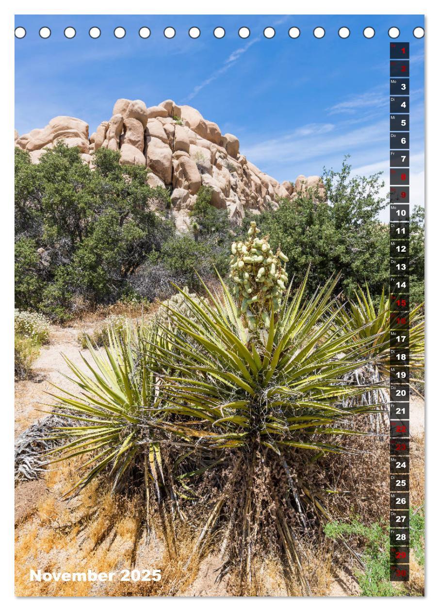 Bild: 9783435961108 | Impressionen aus dem JOSHUA TREE NATIONAL PARK (Tischkalender 2025...