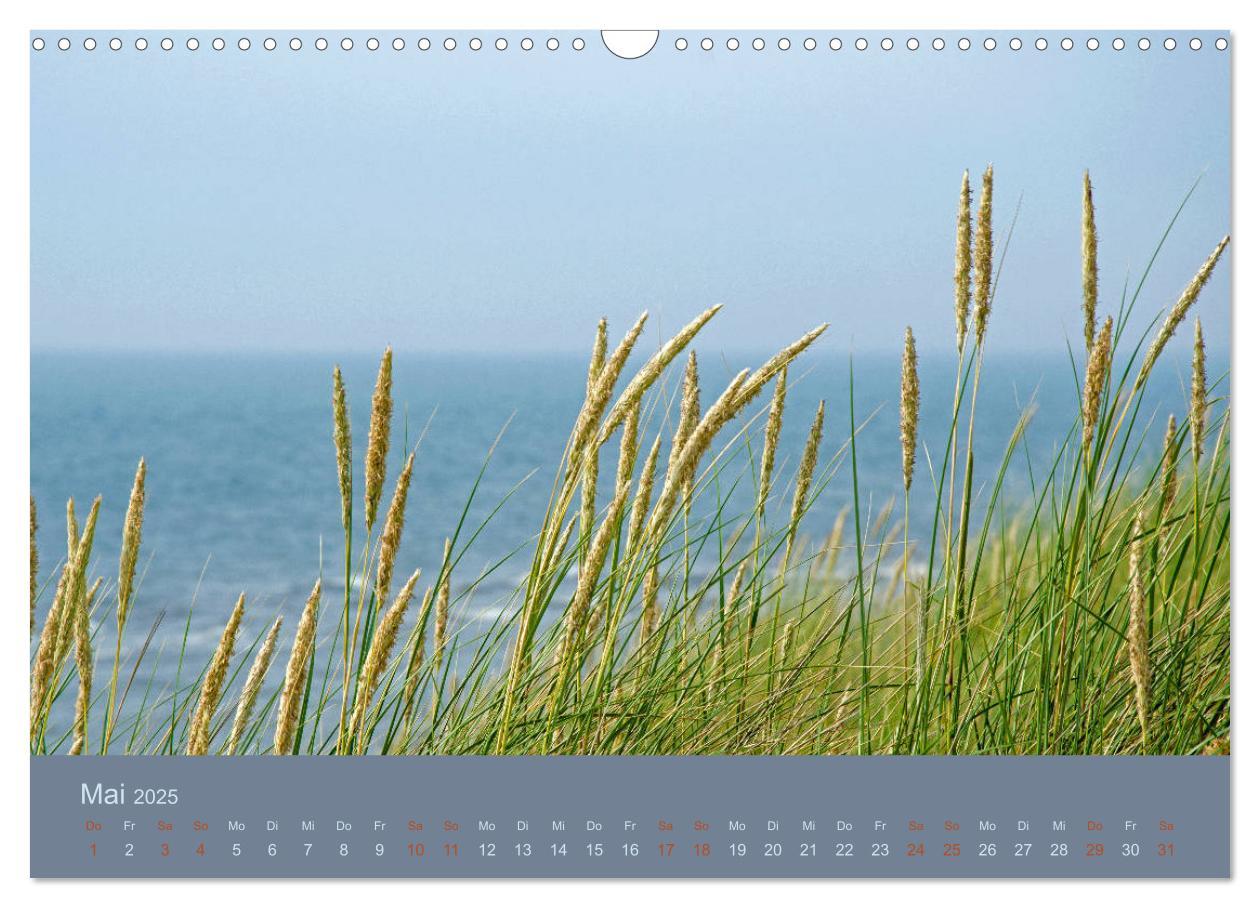 Bild: 9783435430536 | Tag am Meer (Wandkalender 2025 DIN A3 quer), CALVENDO Monatskalender