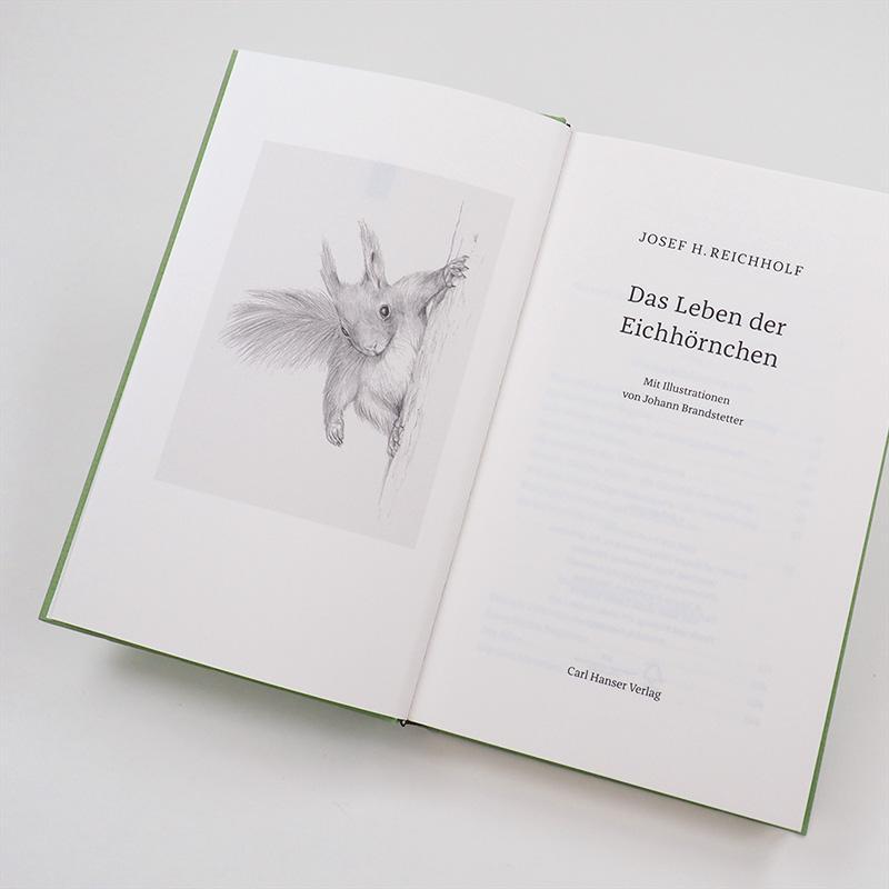 Bild: 9783446264076 | Das Leben der Eichhörnchen | Josef H. Reichholf | Buch | 176 S. | 2019