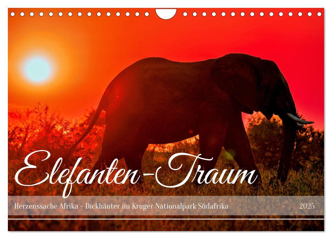 Cover: 9783435066124 | Elefanten-Traum - Herzenssache Afrika (Wandkalender 2025 DIN A4...