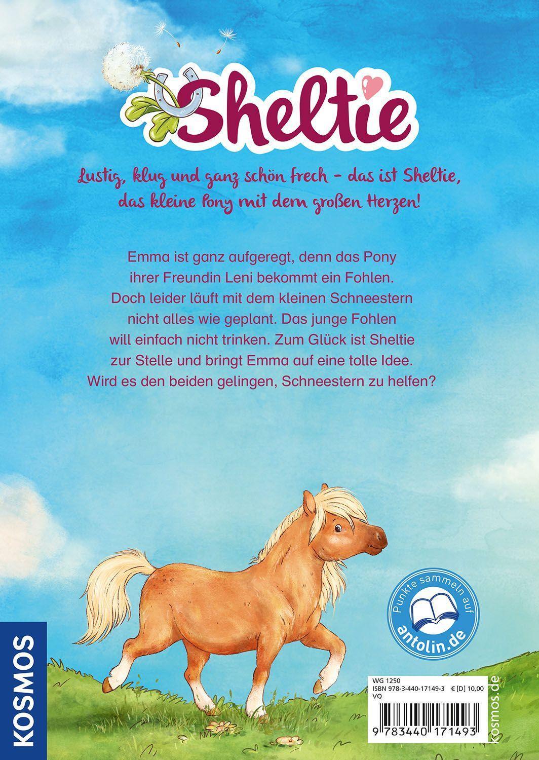 Bild: 9783440171493 | Sheltie - Sheltie und das kleine Fohlen | Peter Clover | Buch | 2022