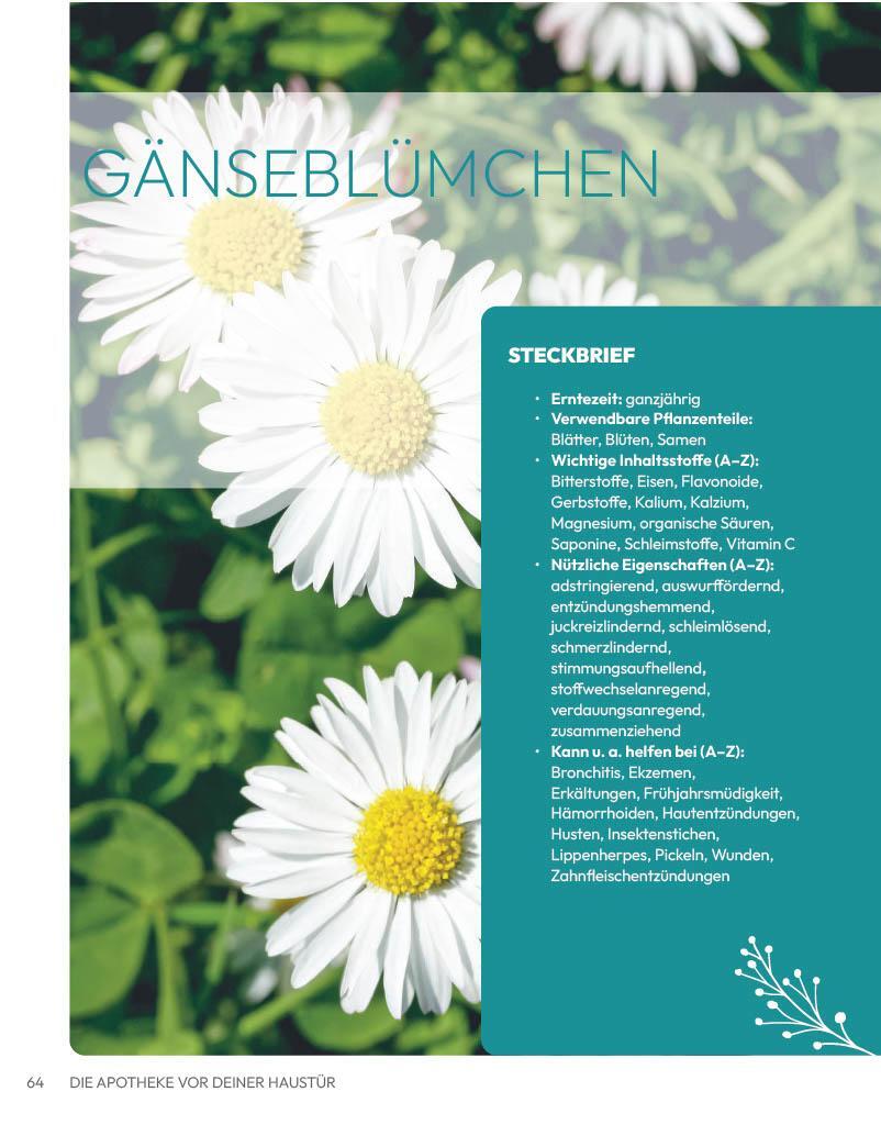 Bild: 9783910801110 | Die Apotheke vor deiner Haustür | smarticular Verlag | Taschenbuch