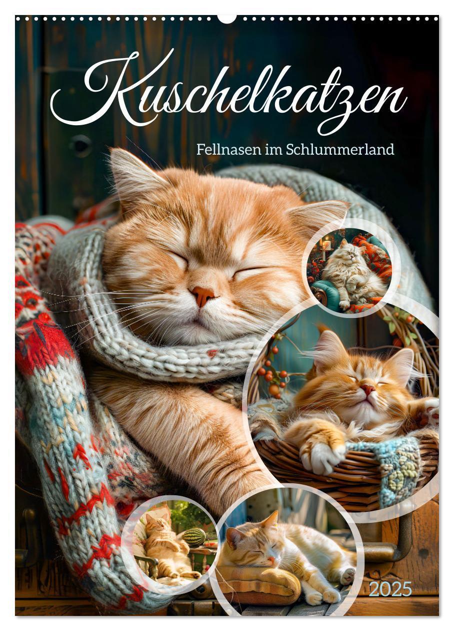 Cover: 9783383784392 | Kuschelkatzen - Fellnasen im Schlummerland (Wandkalender 2025 DIN...