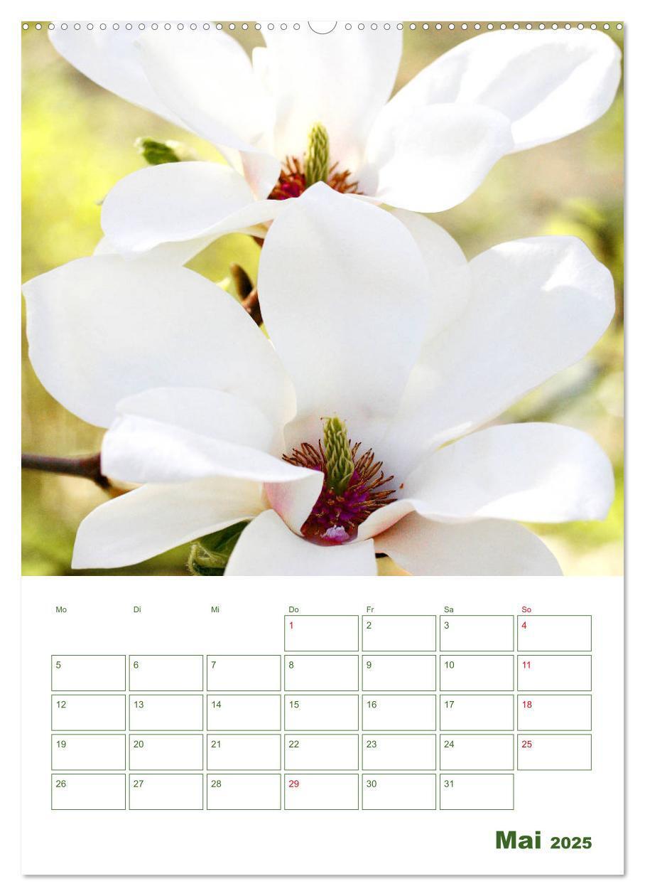 Bild: 9783435965038 | Weiße Blüten im Grünen (Wandkalender 2025 DIN A2 hoch), CALVENDO...