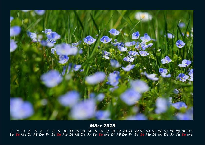 Bild: 9783755993346 | Blumenkalender 2025 Fotokalender DIN A4 | Tobias Becker | Kalender