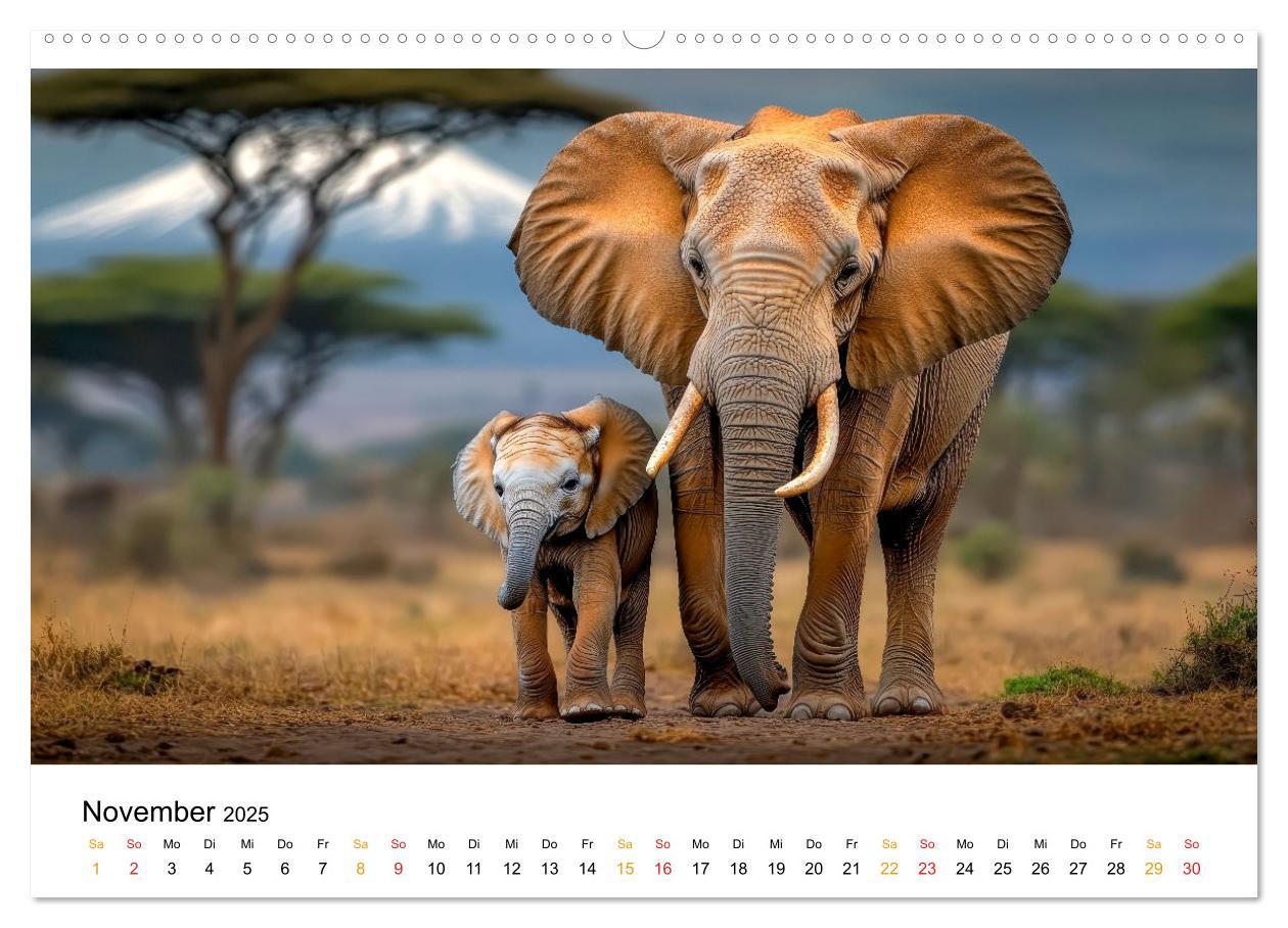 Bild: 9783457240496 | Elefanten - Riesen der Wildnis (Wandkalender 2025 DIN A2 quer),...