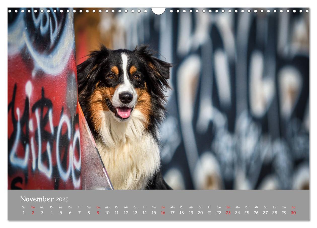 Bild: 9783435314157 | Hunde und Graffiti (Wandkalender 2025 DIN A3 quer), CALVENDO...