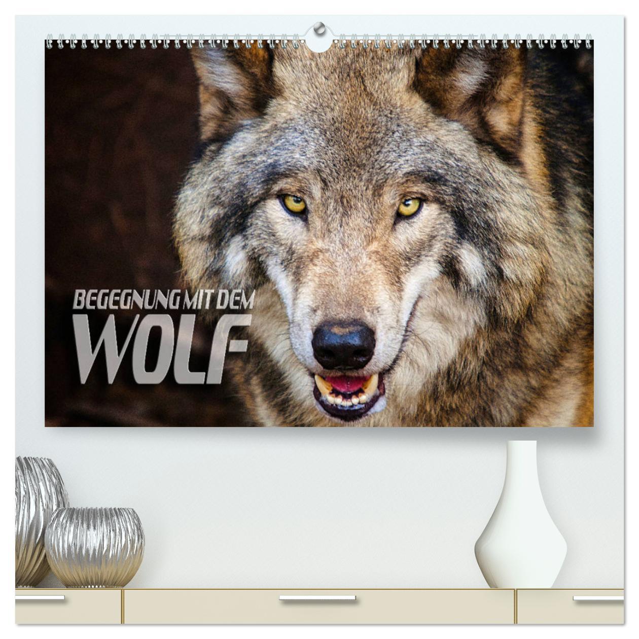 Cover: 9783435259519 | Begegnung mit dem Wolf (hochwertiger Premium Wandkalender 2025 DIN...