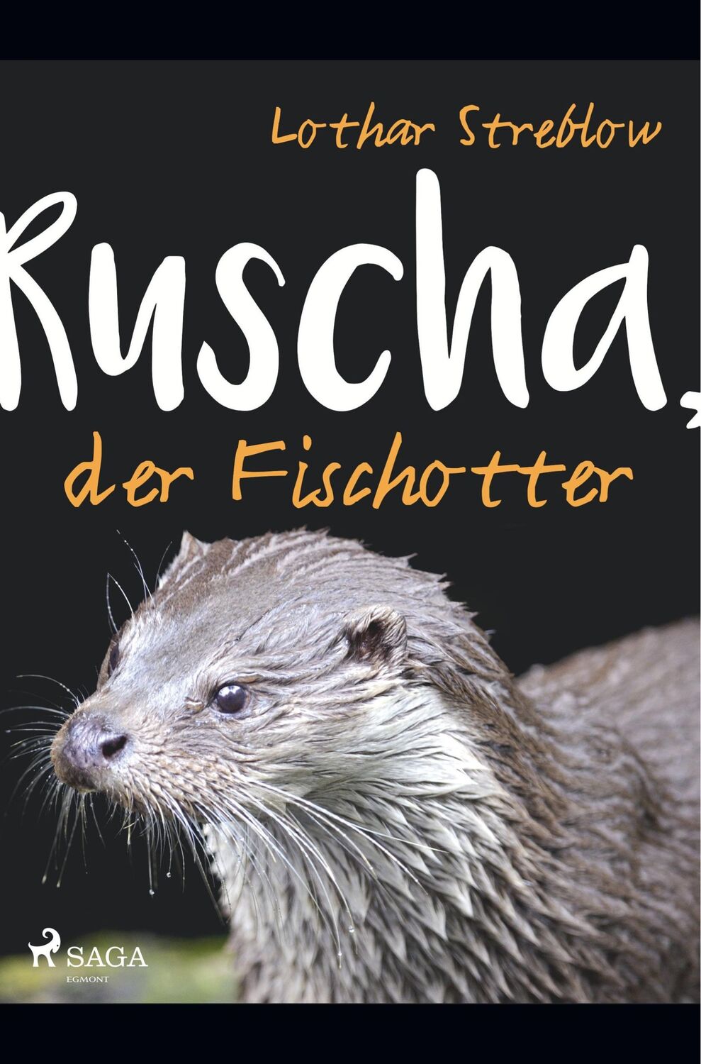 Cover: 9788726152357 | Ruscha, der Fischotter | Lothar Streblow | Taschenbuch | Paperback