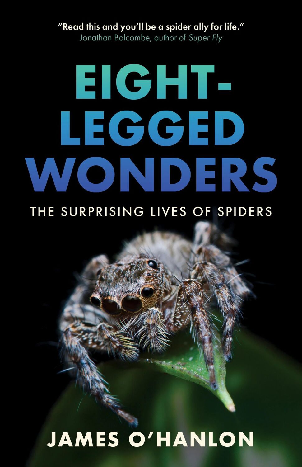 Cover: 9781778401541 | Eight-Legged Wonders | The Surprising Lives of Spiders | O'Hanlon