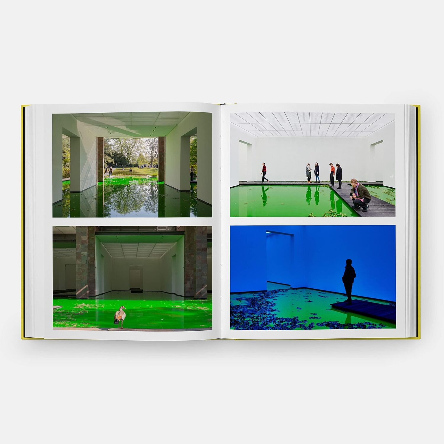 Bild: 9781838665685 | Experience | Revised and Expanded Edition | Olafur Eliasson | Buch