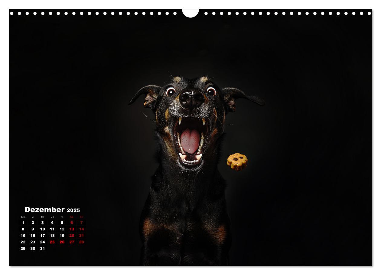 Bild: 9783457200001 | Leckerchen! (Wandkalender 2025 DIN A3 quer), CALVENDO Monatskalender