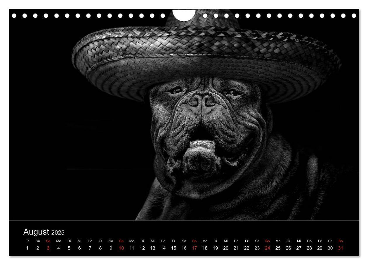 Bild: 9783435781522 | Hütehunde (Wandkalender 2025 DIN A4 quer), CALVENDO Monatskalender