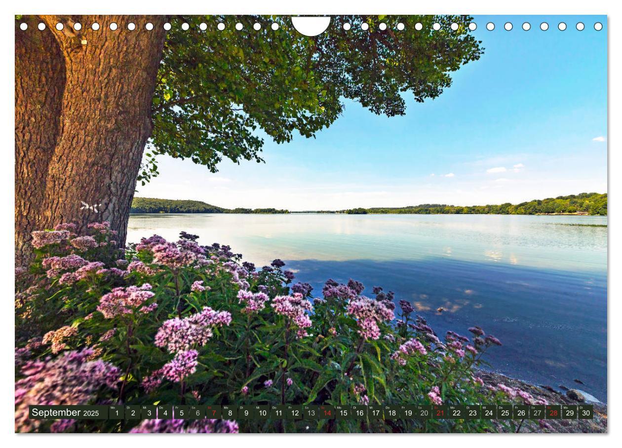 Bild: 9783435294589 | Holsteinische Schweiz - Fünf-Seen-Landschaft (Wandkalender 2025 DIN...