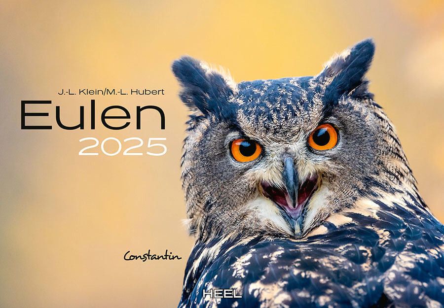 Cover: 9783966648141 | Eulen Kalender 2025 | J.-L. Klein (u. a.) | Kalender | Spiralbindung