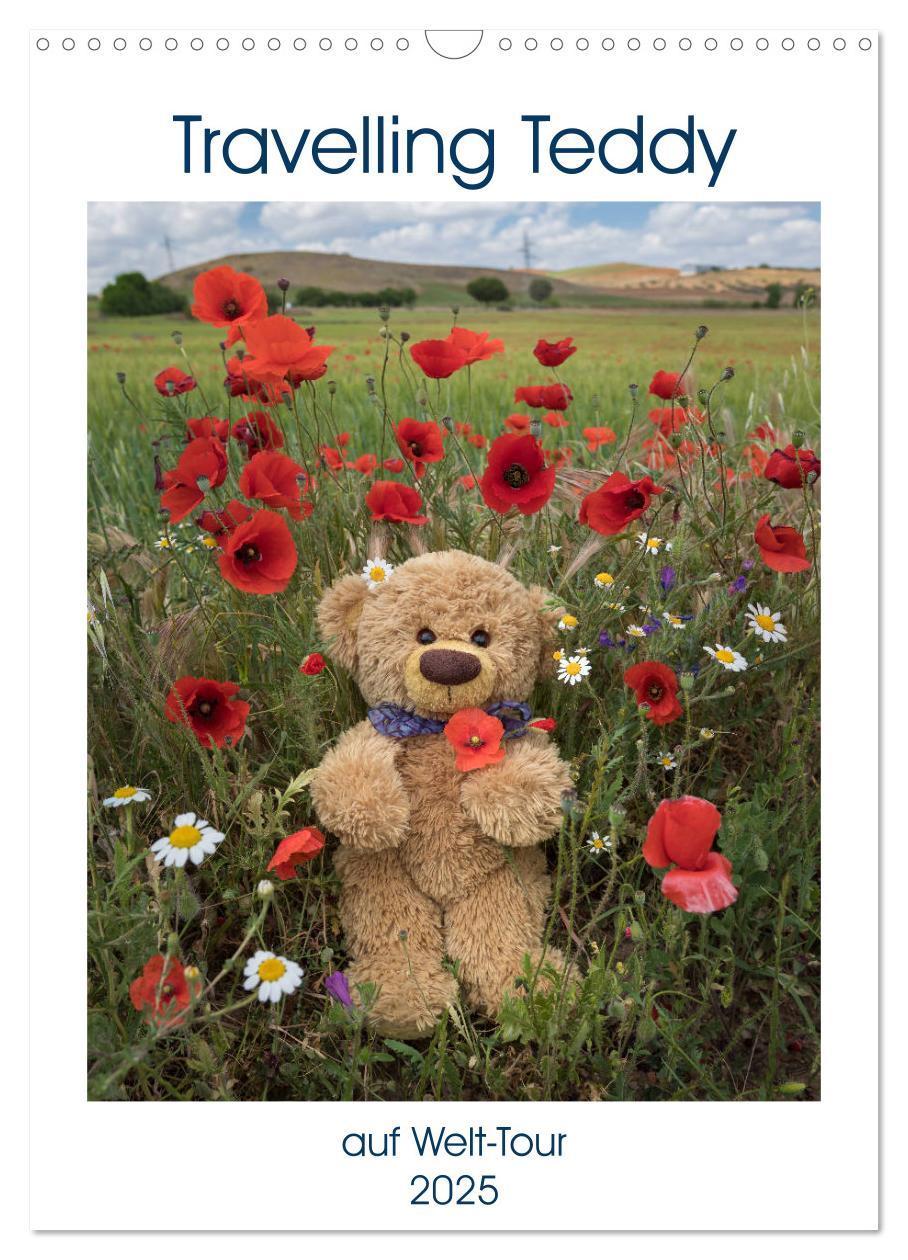 Cover: 9783435935093 | Travelling Teddy auf Welt-Tour (Wandkalender 2025 DIN A3 hoch),...