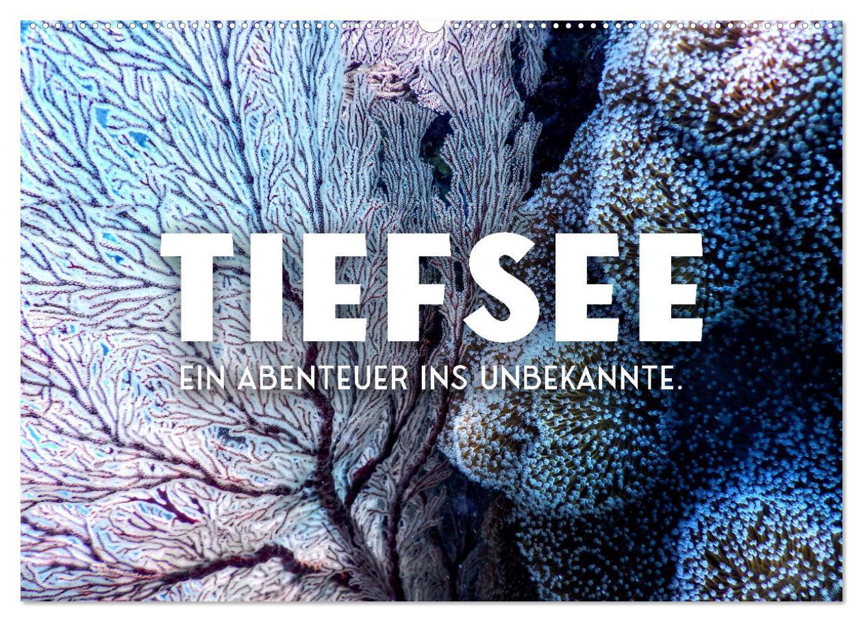 Cover: 9783383937965 | Tiefsee - Ein Abenteuer ins Unbekannte. (Wandkalender 2025 DIN A2...