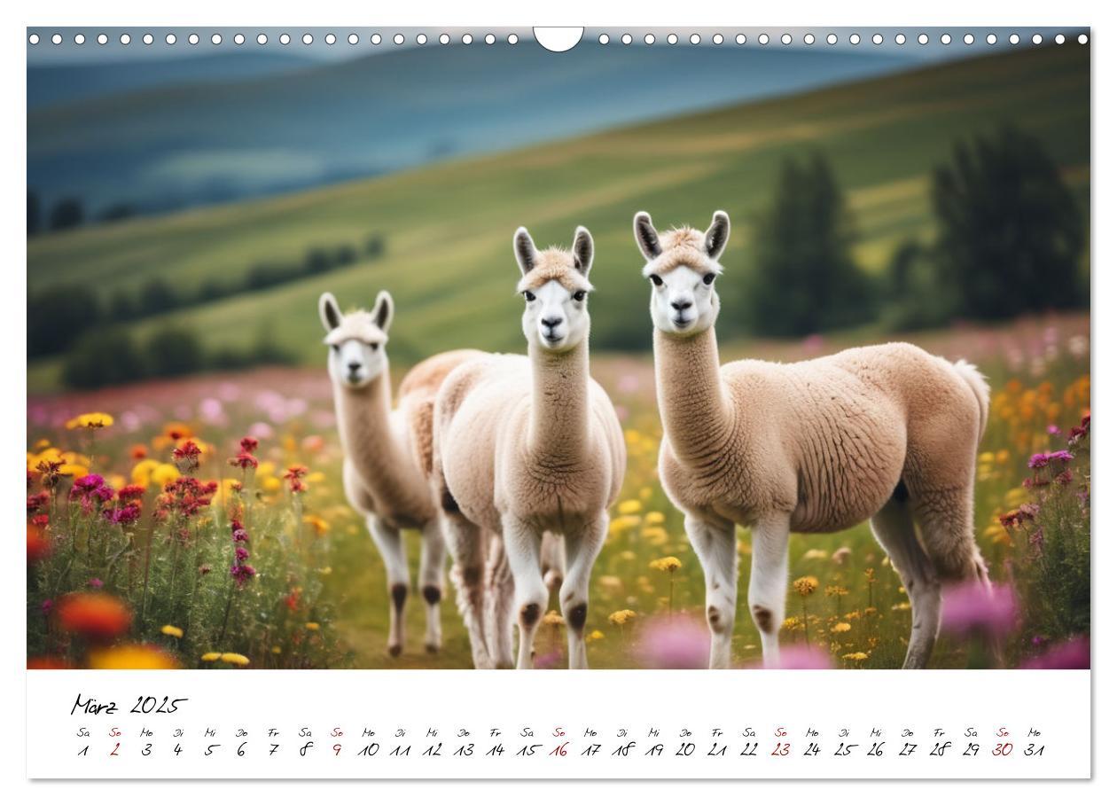 Bild: 9783457189399 | Alpakas, die sanften Andenbewohner (Wandkalender 2025 DIN A3 quer),...