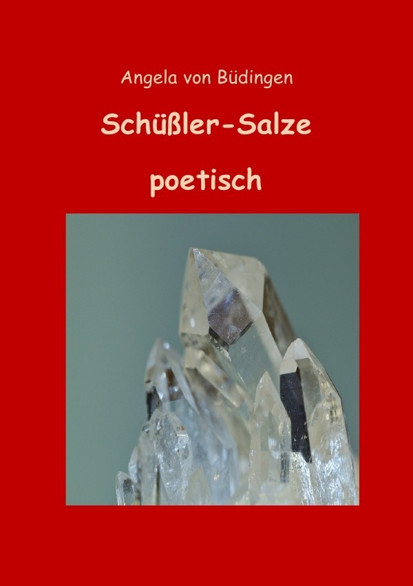 Cover: 9783741826115 | Schüßler-Salze poetisch | Angela von Büdingen | Taschenbuch | 2016