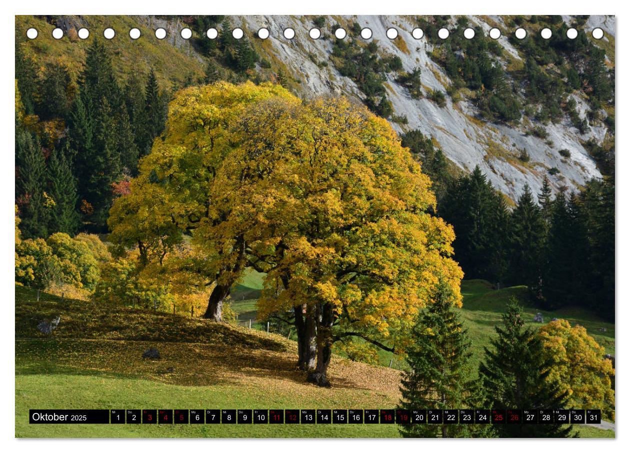 Bild: 9783435420643 | Bergmagie ¿ Fotos aus dem Berner Oberland (Tischkalender 2025 DIN...