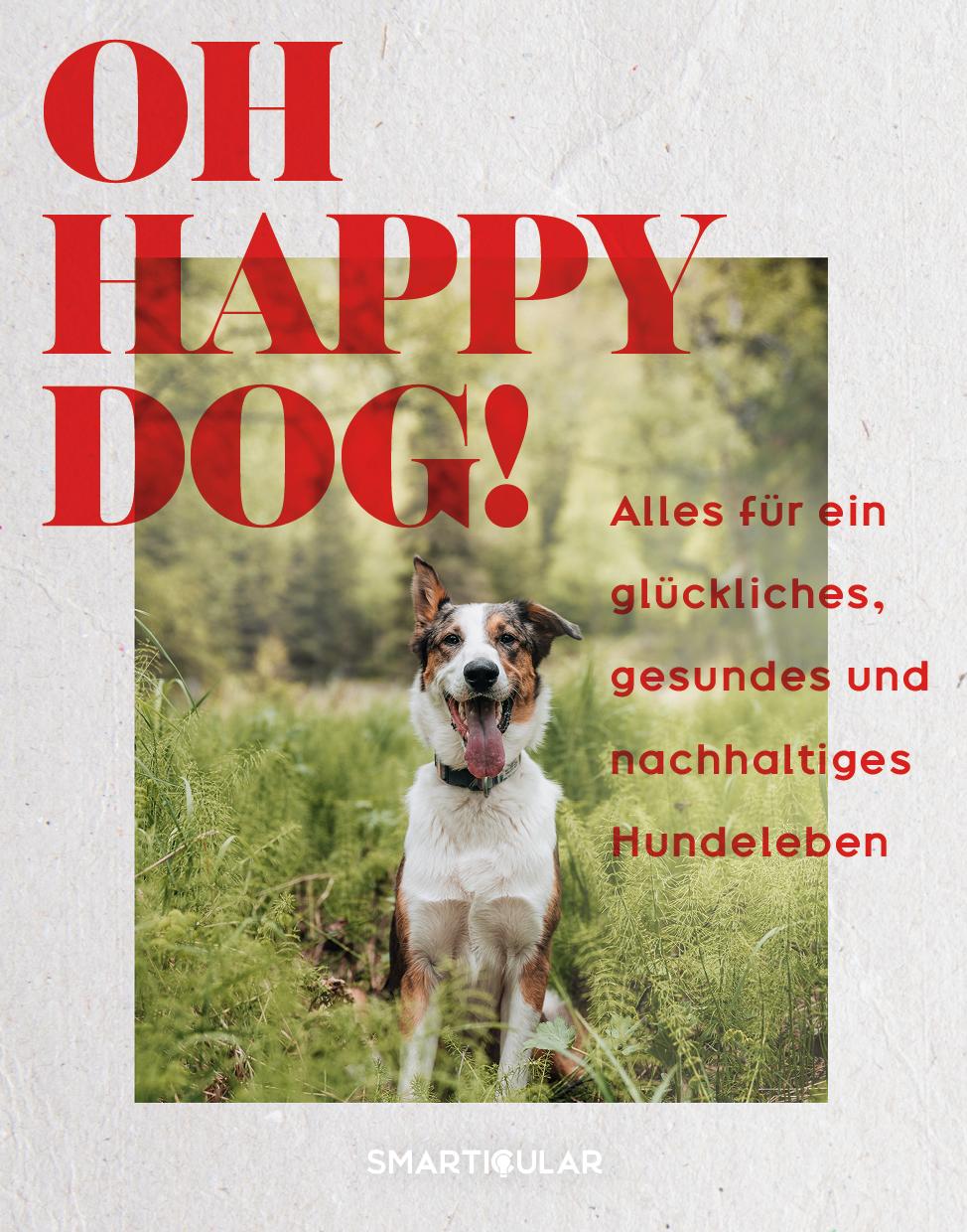 Cover: 9783946658870 | Oh Happy Dog! | smarticular Verlag | Buch | 176 S. | Deutsch | 2023